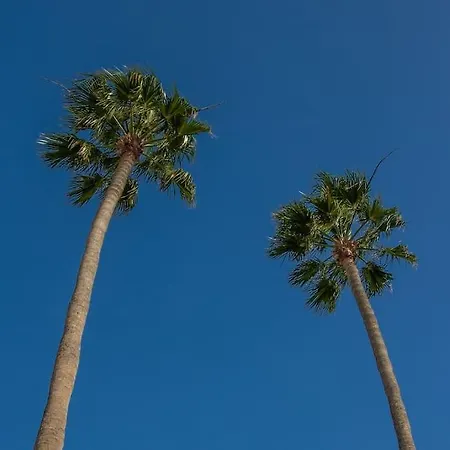 San Fermín 232 - By Az