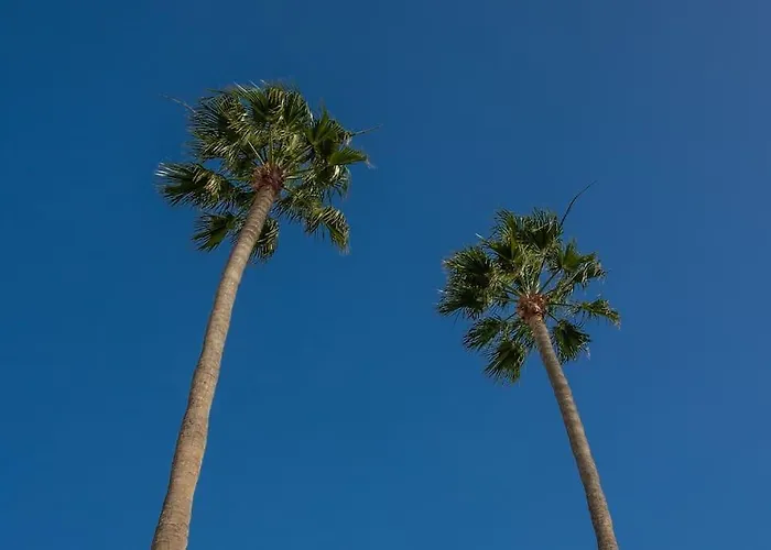 San Fermín 232 - By Az